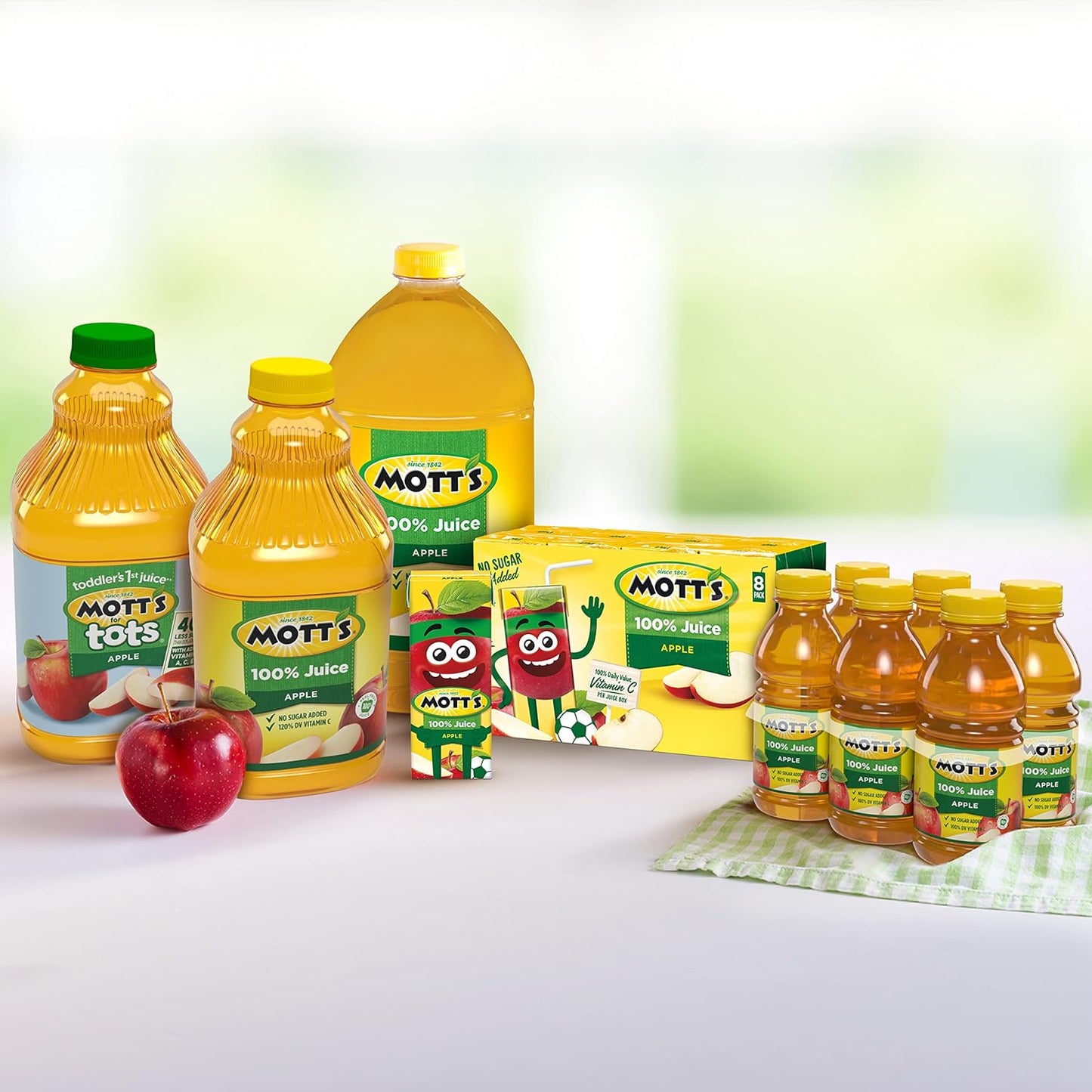 Motts Apple Juice 24ct